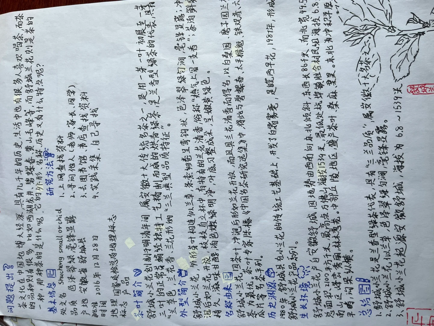 五下研究报告