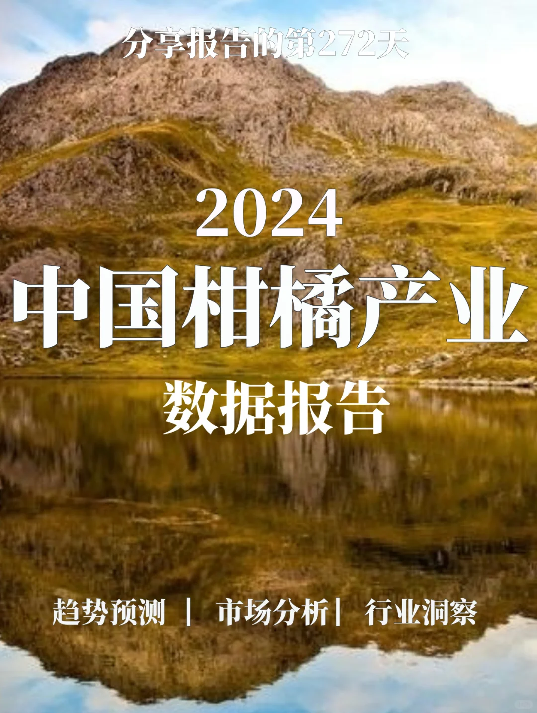 22页报告丨2024中国柑橘产业数据报告