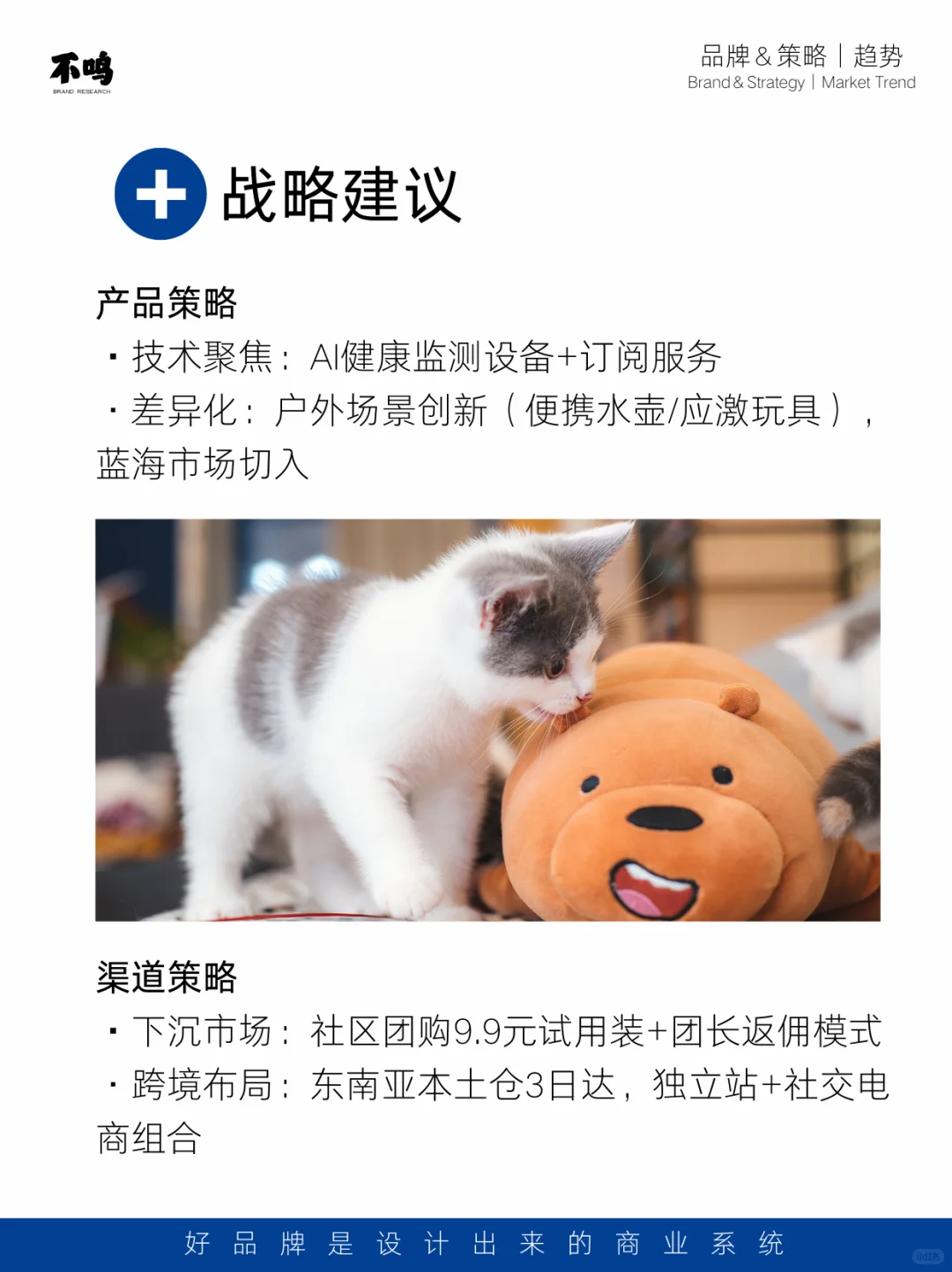 来一份宠物市场调研报告