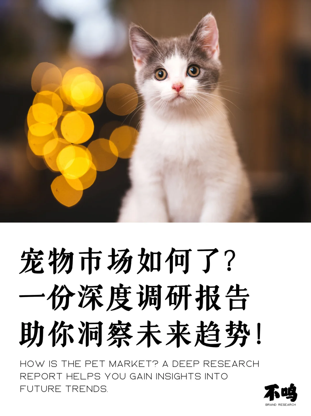 来一份宠物市场调研报告