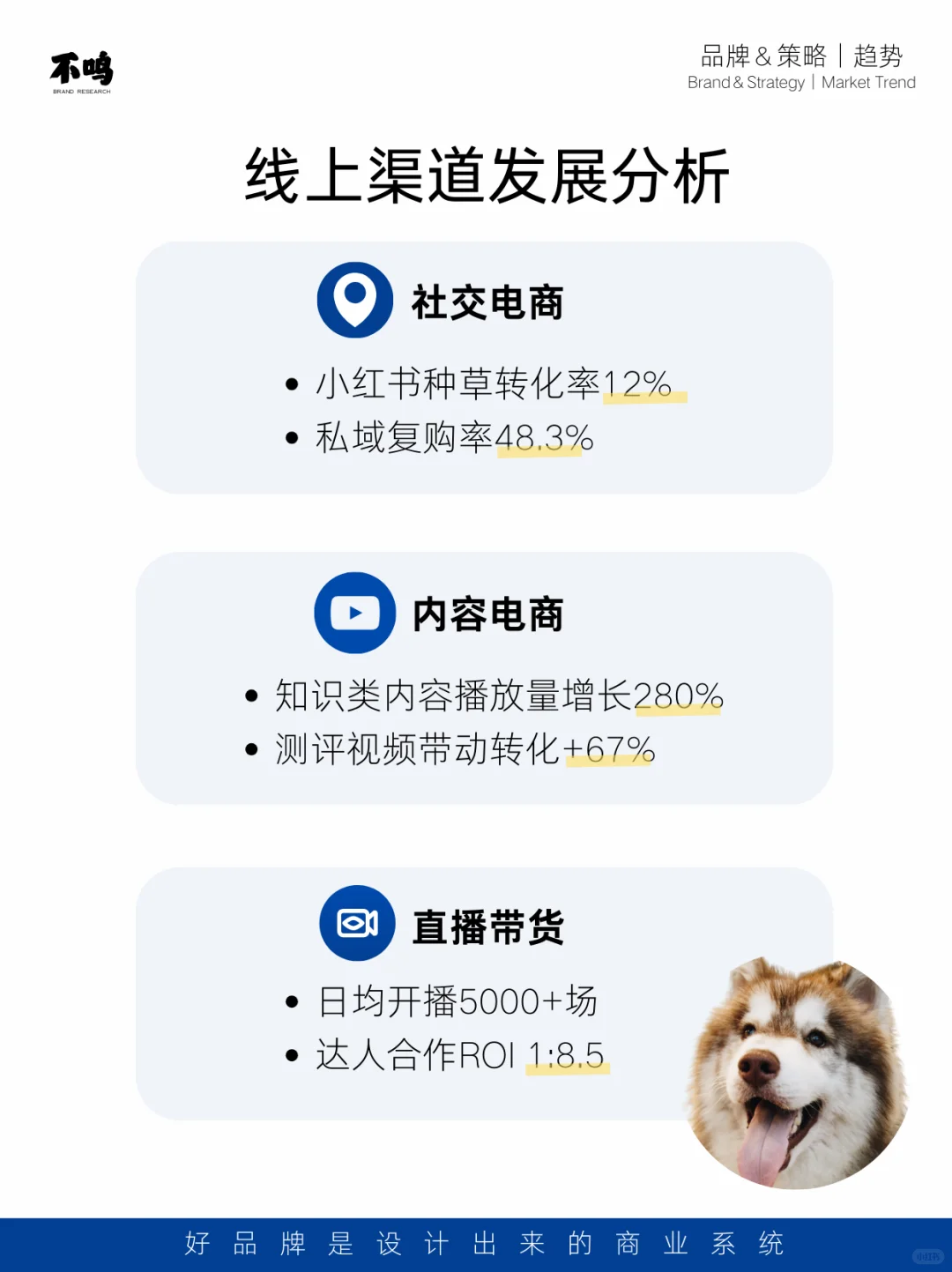 来一份宠物市场调研报告