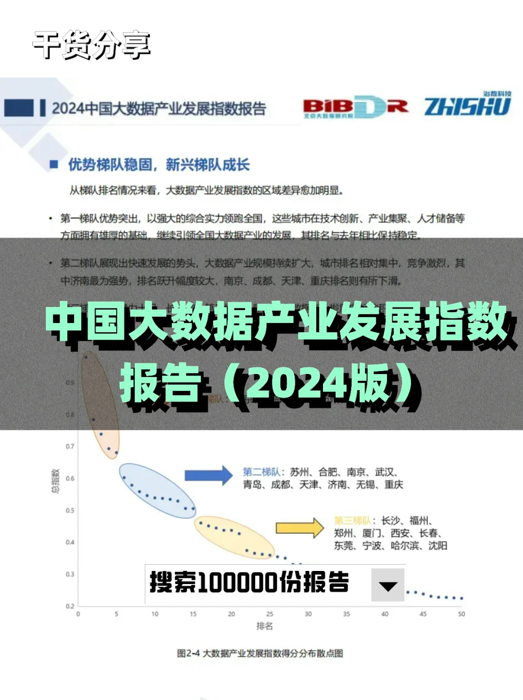 中国大数据产业发展指数报告(2024版)