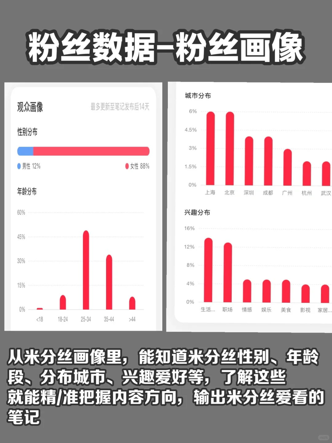 新手博主，一定要学会数据分析