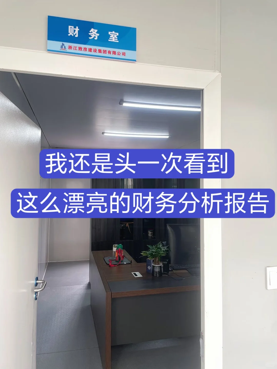 头一次见到这么漂亮的财务数据分析报告，不
