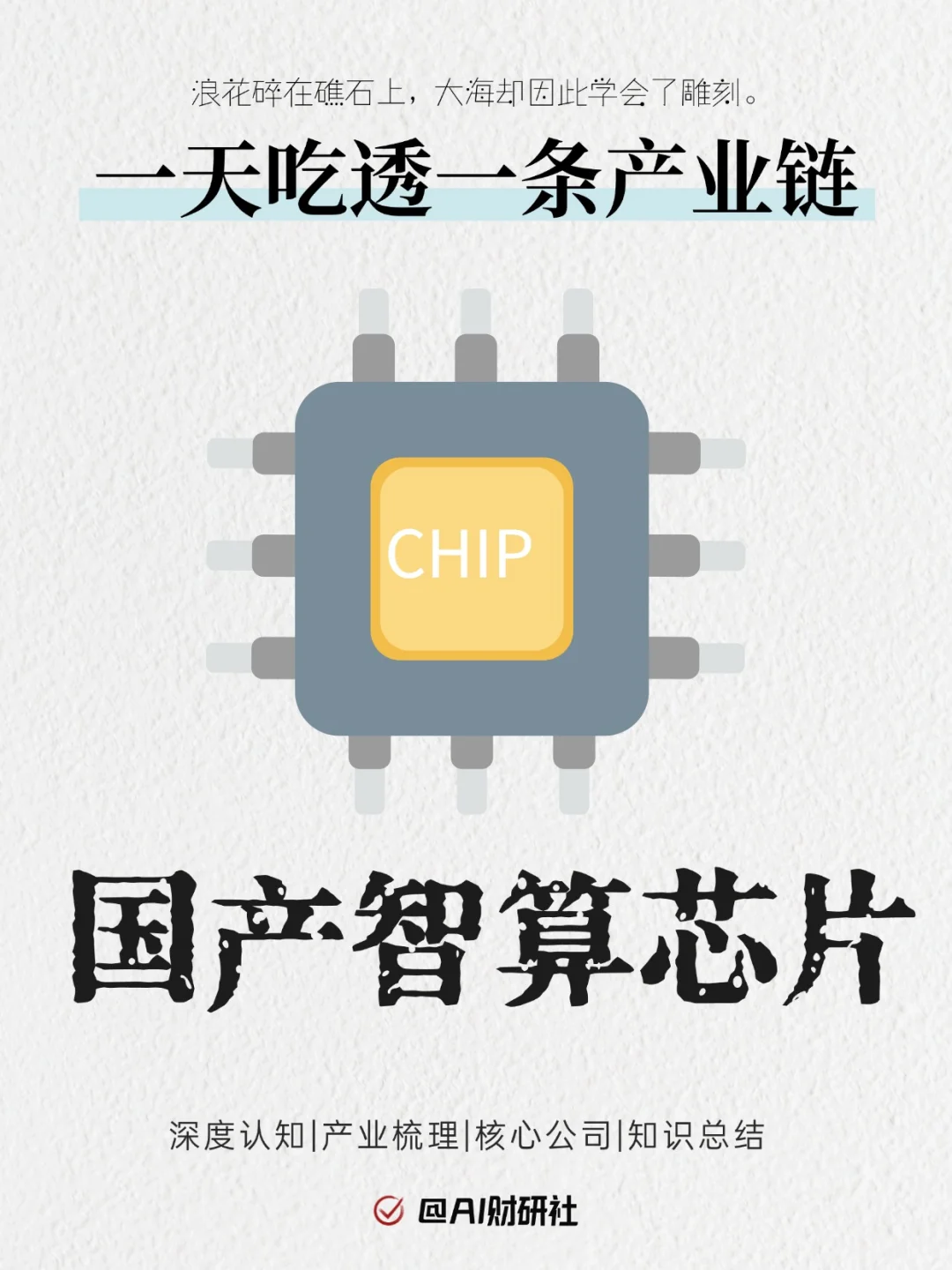 一天吃透产业链No.29：国产智算芯片