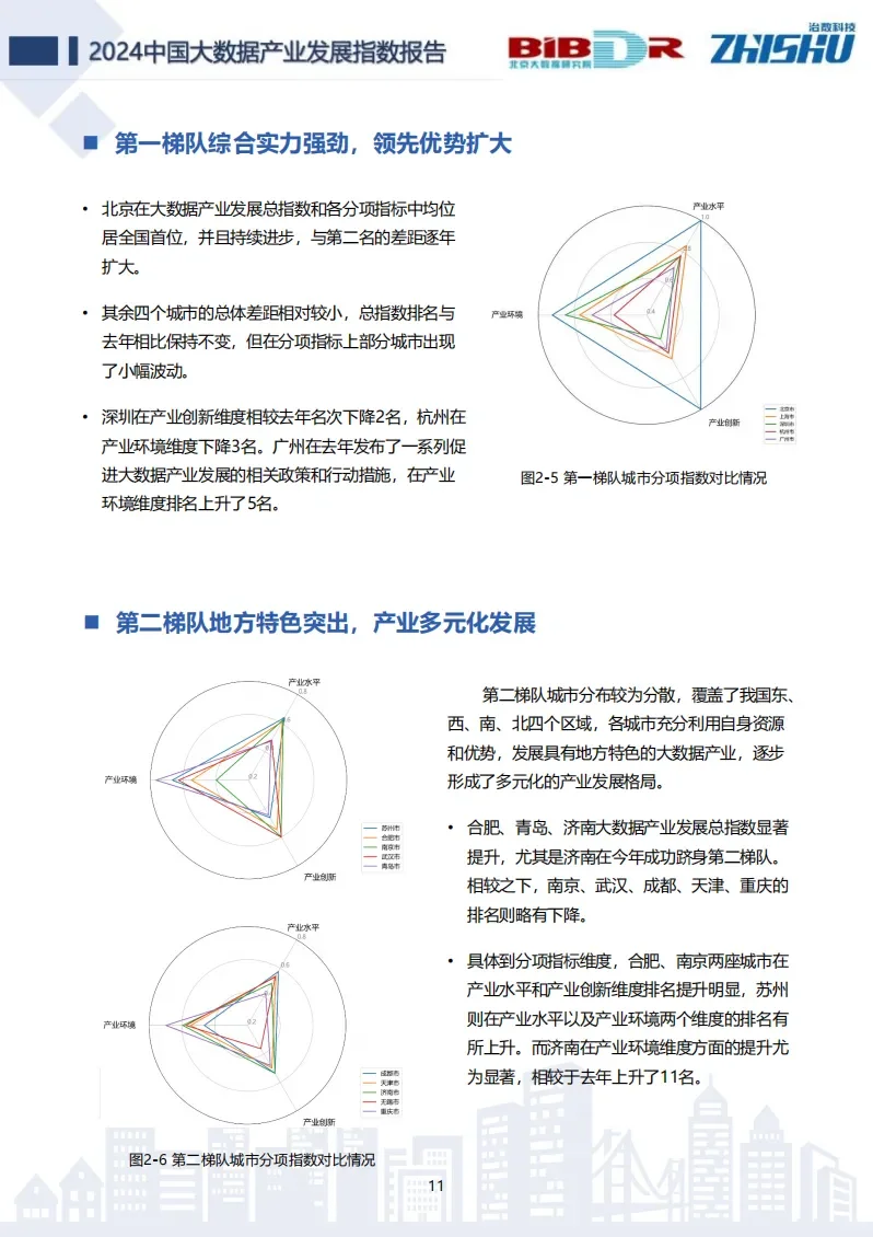 中国大数据产业发展指数报告(2024版)