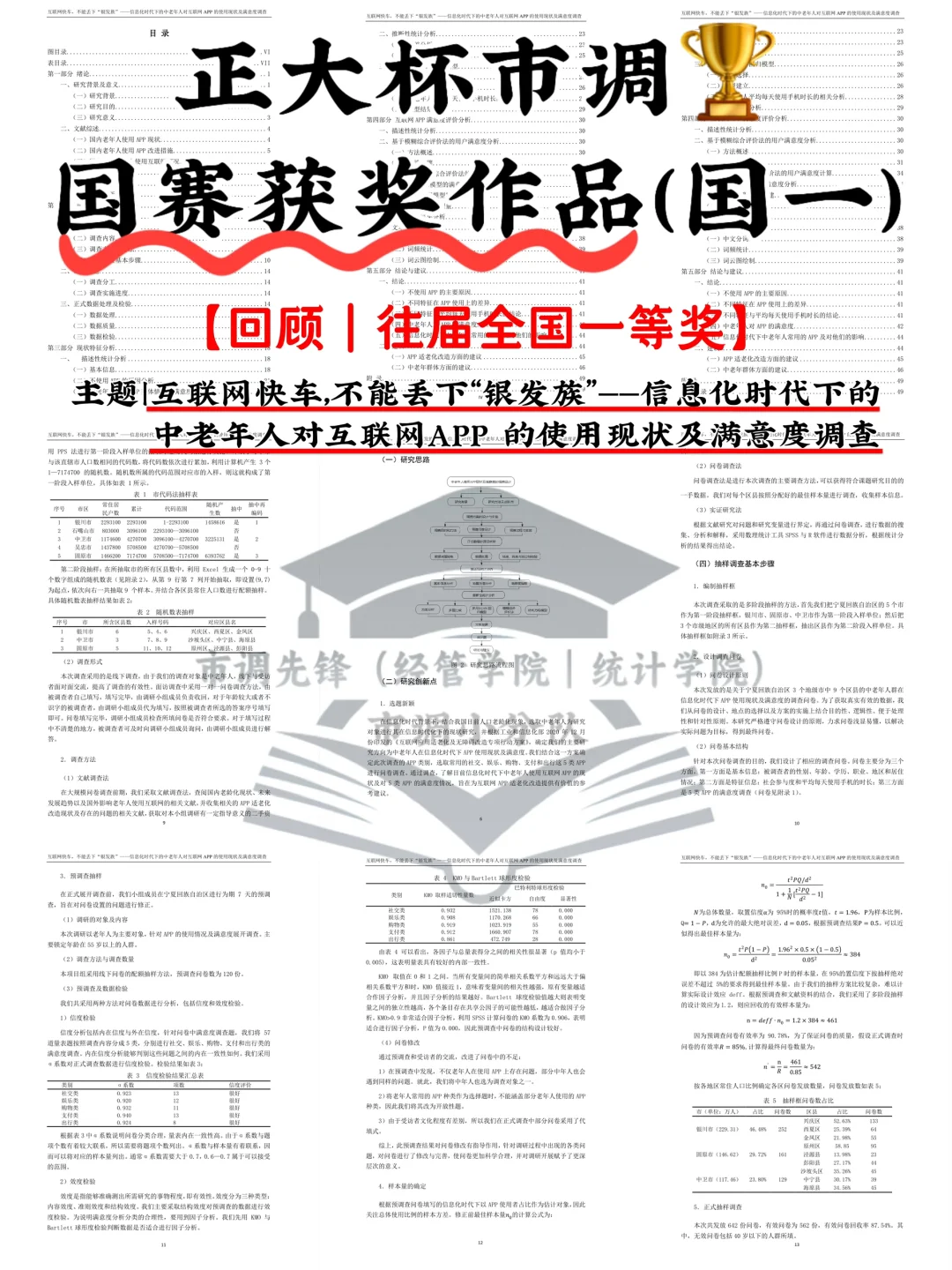 正大杯市调大赛｜国赛获奖作品｜国一