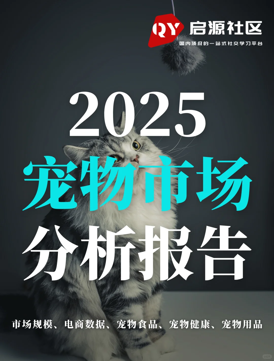 3000亿新经济：所有宠物生意都是人的生意！