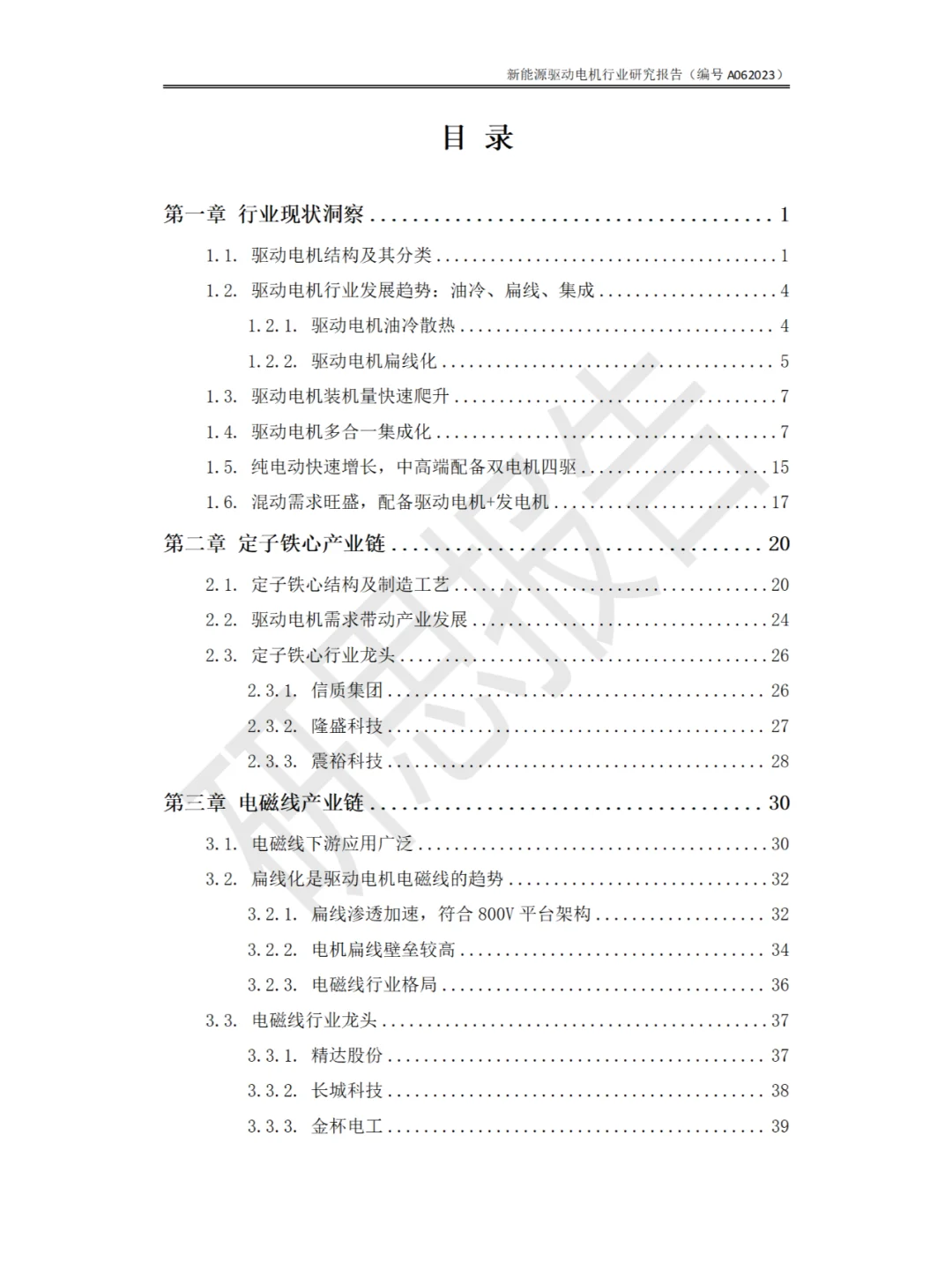 新能源驱动电机行业研究报告