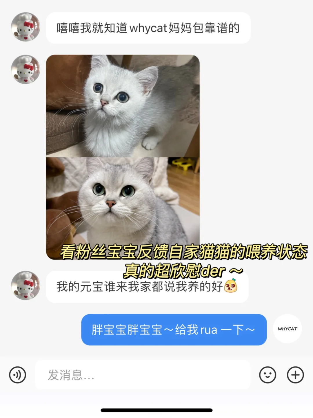 宠物食品研究了8年，真的忍不住出来说几句..