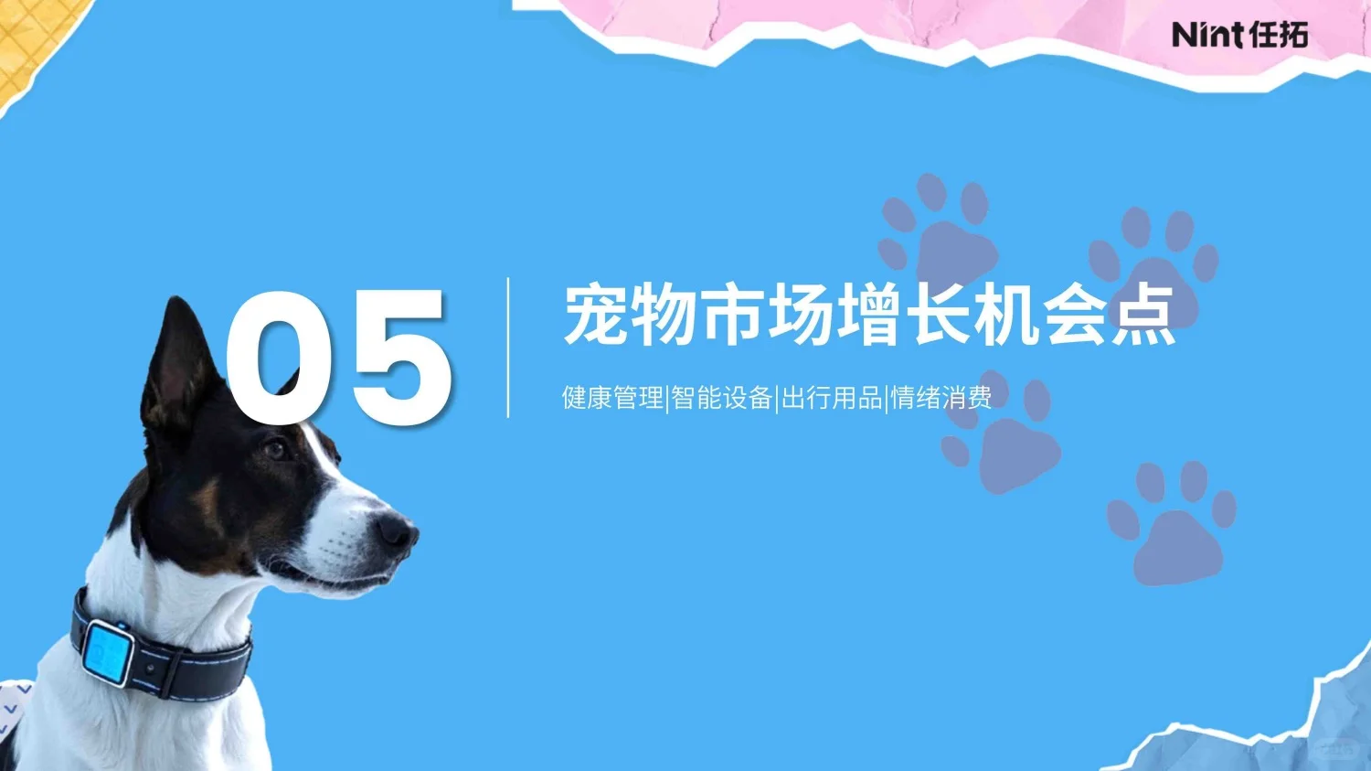3000亿新经济：所有宠物生意都是人的生意！
