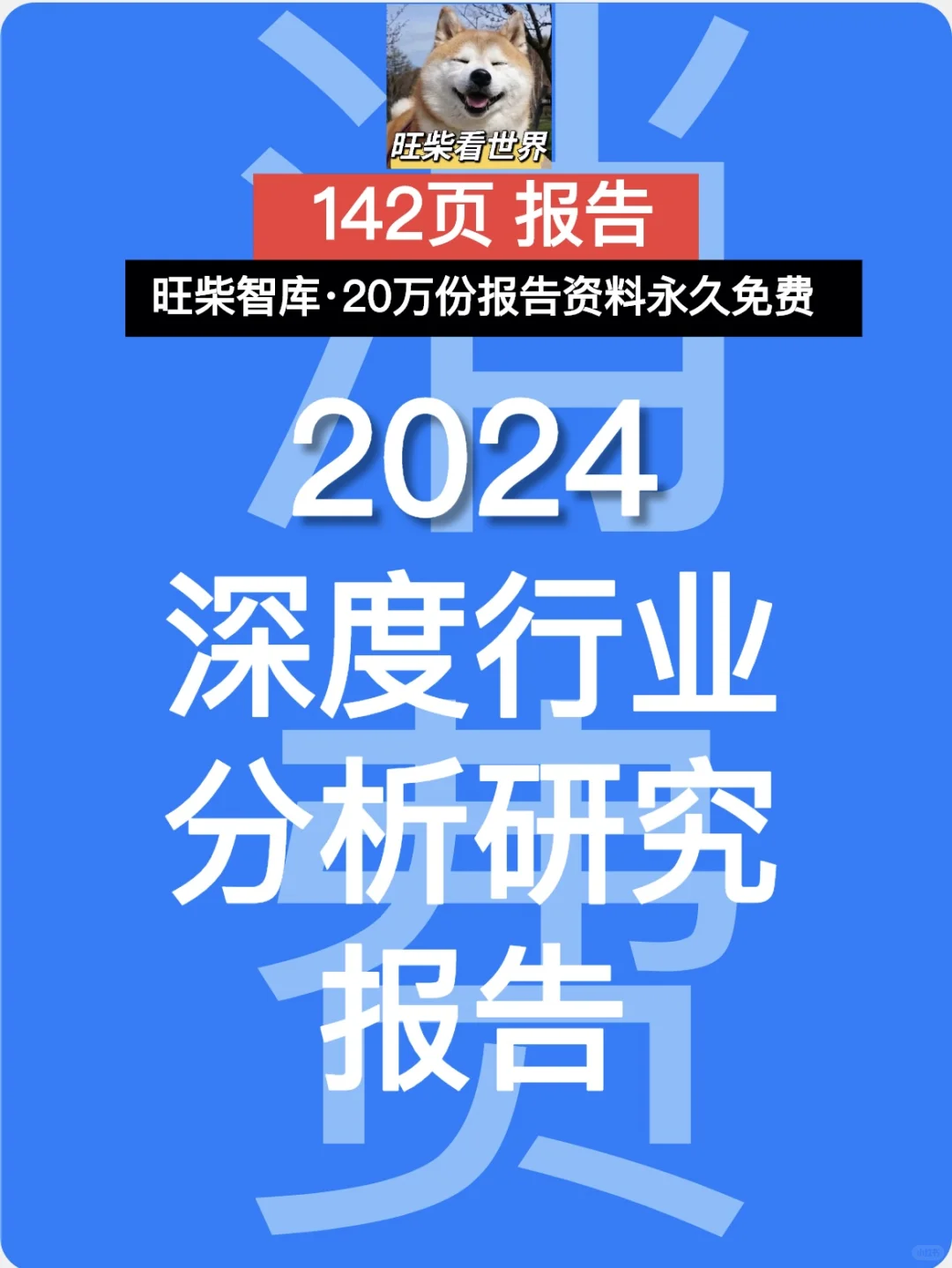 2024深度行业分析研究报告