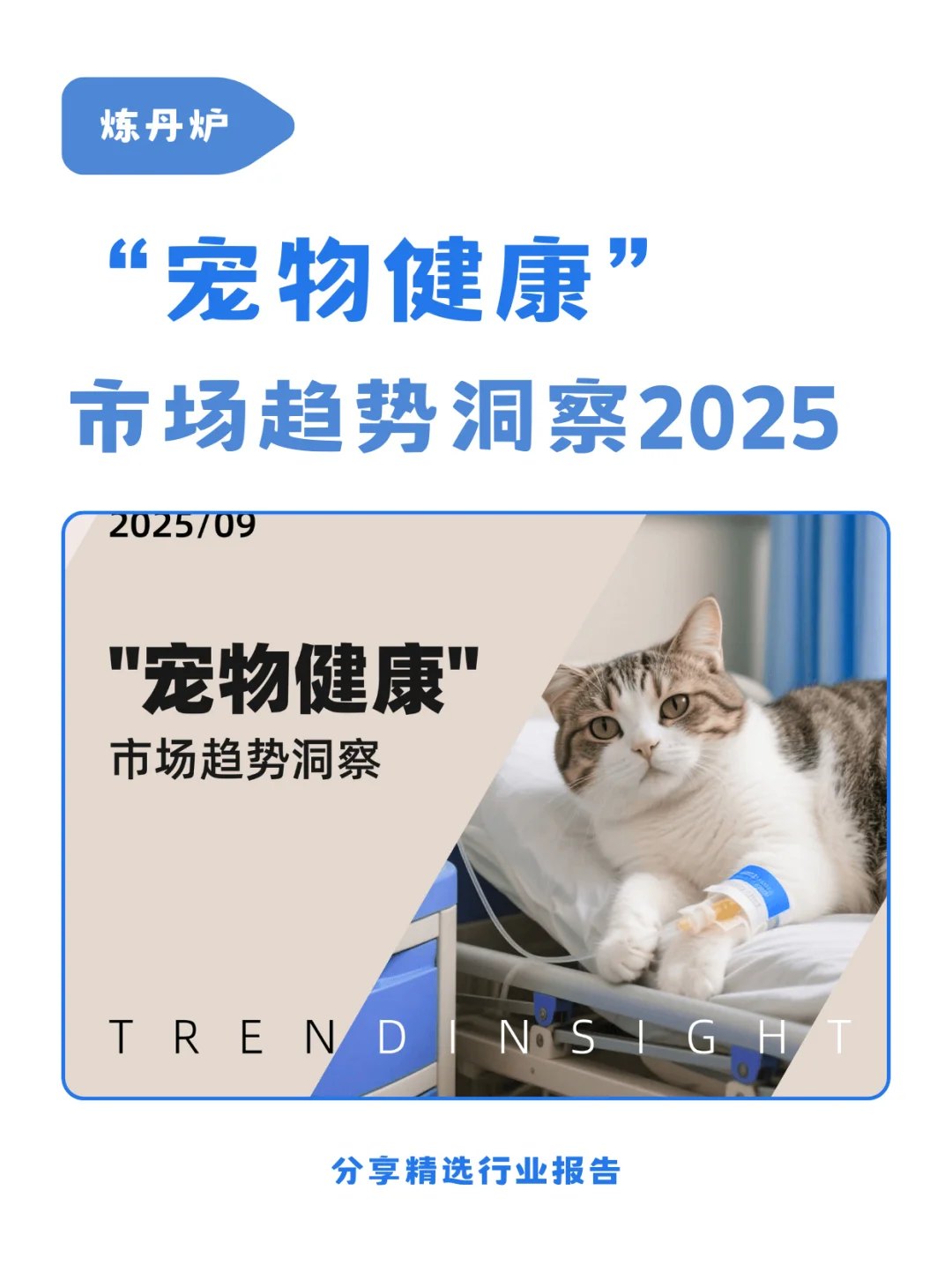 宠物行业必看‼️2025健康消费升级数据洞察