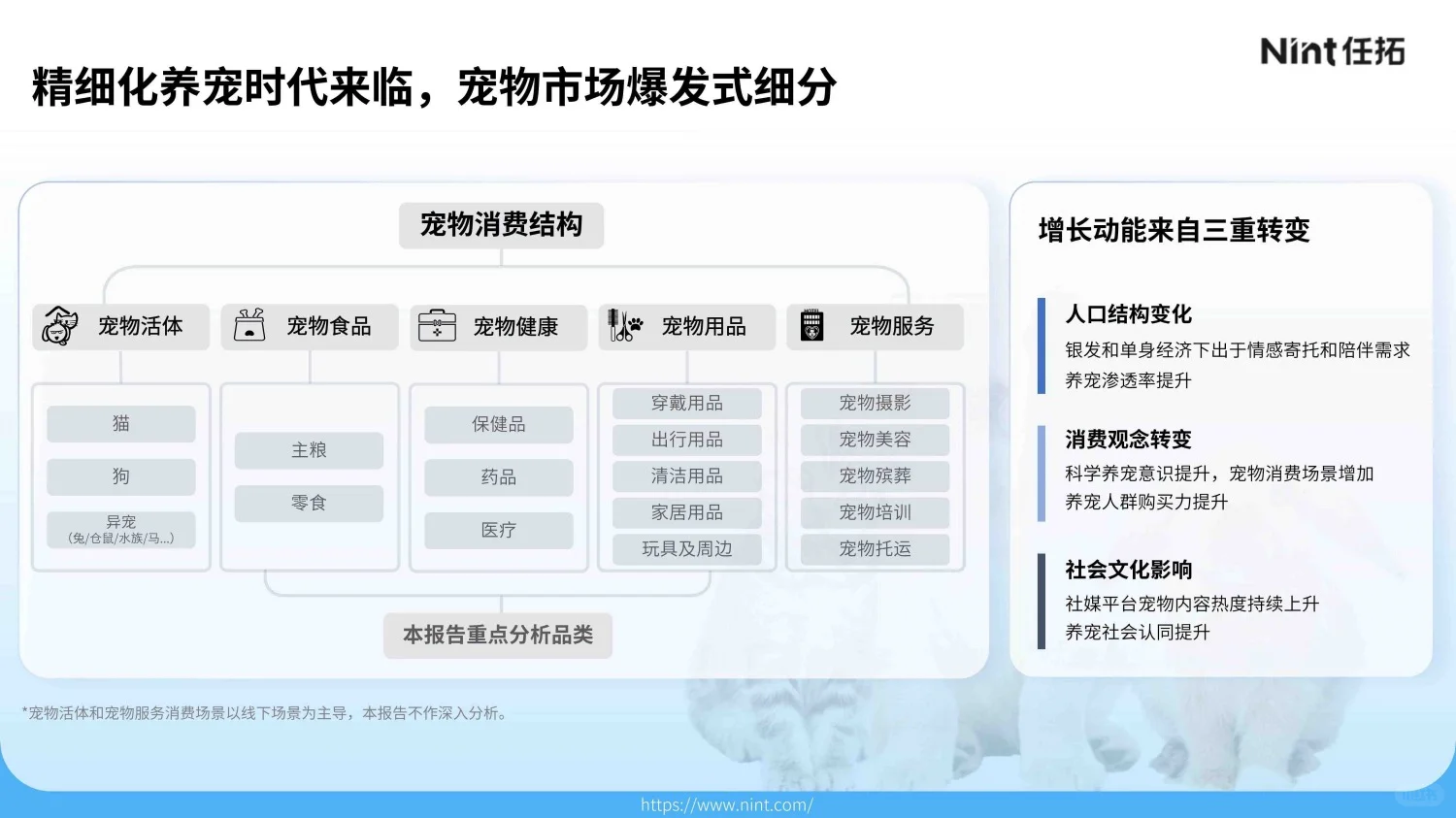 3000亿新经济：所有宠物生意都是人的生意！