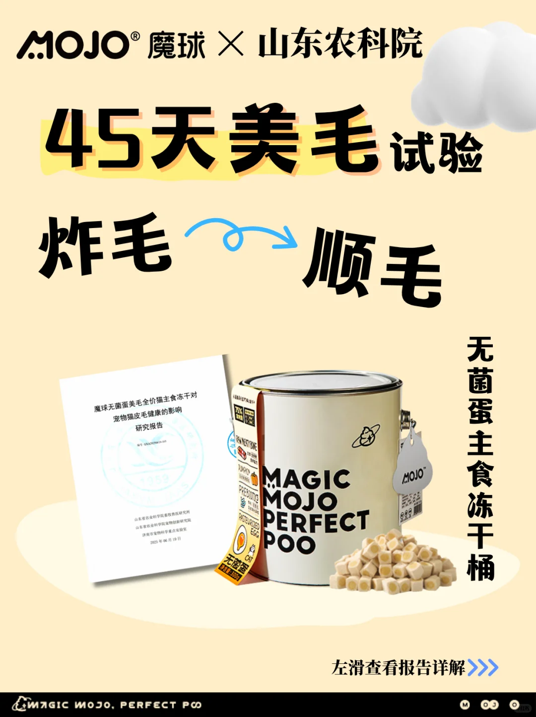 报告»45天爆改炸毛小猫📑 山东农科院实证 ✅