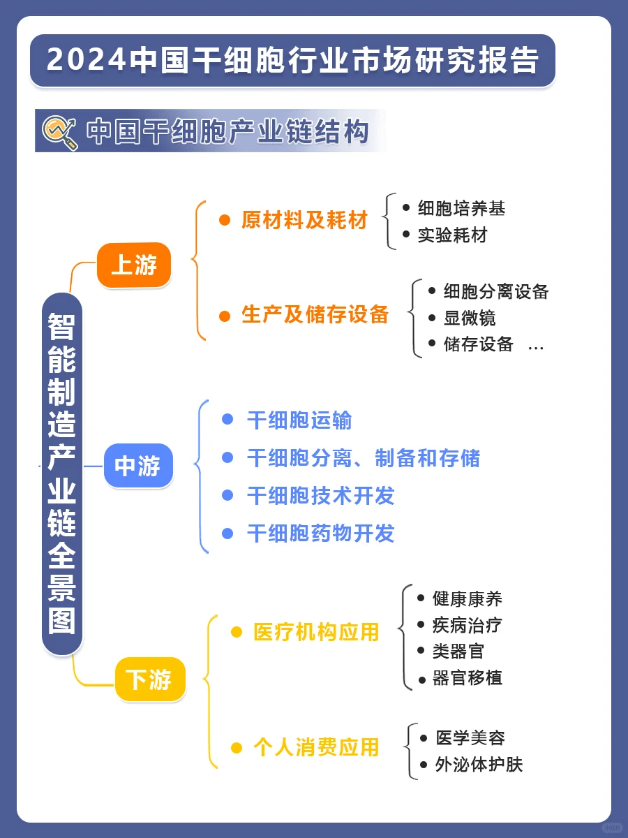 2024中国干细胞行业市场研究报告