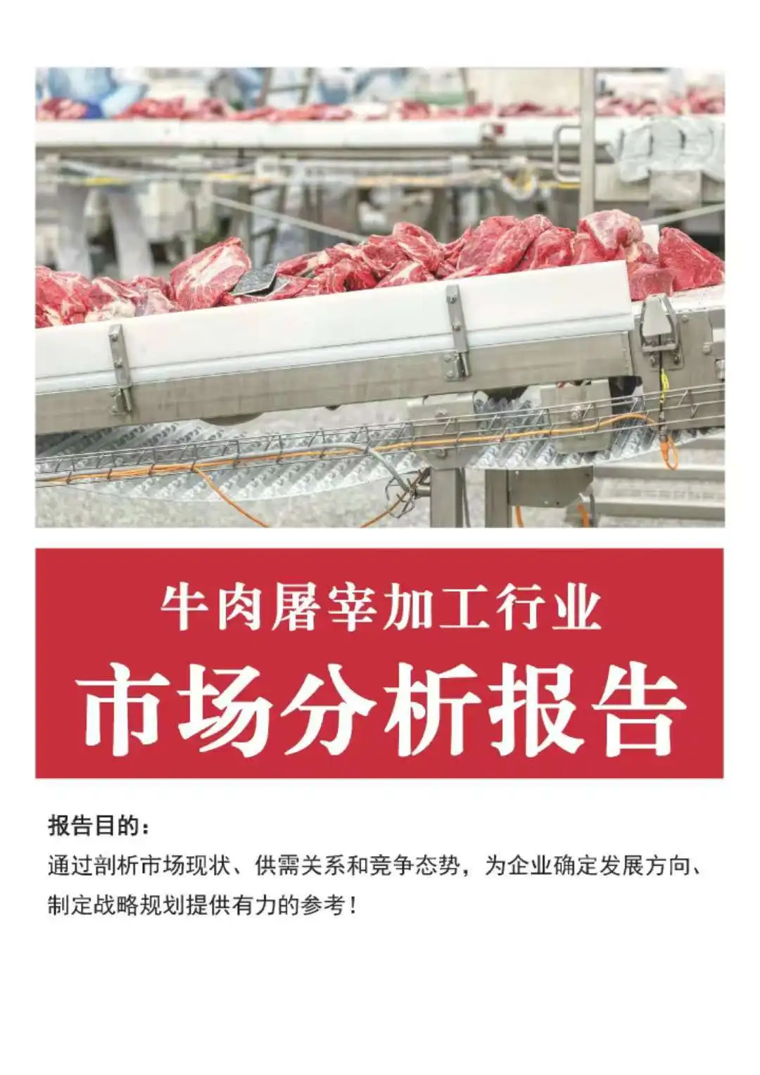 写好行业市场分析报告，项目成功一大半！