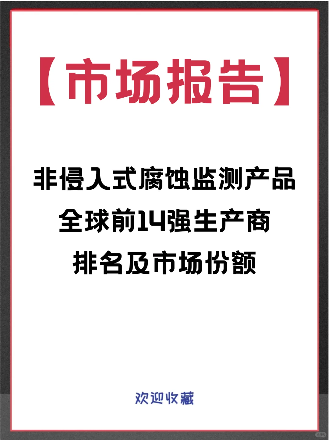 非侵入式腐蚀监测产品全球企业市场调查报告