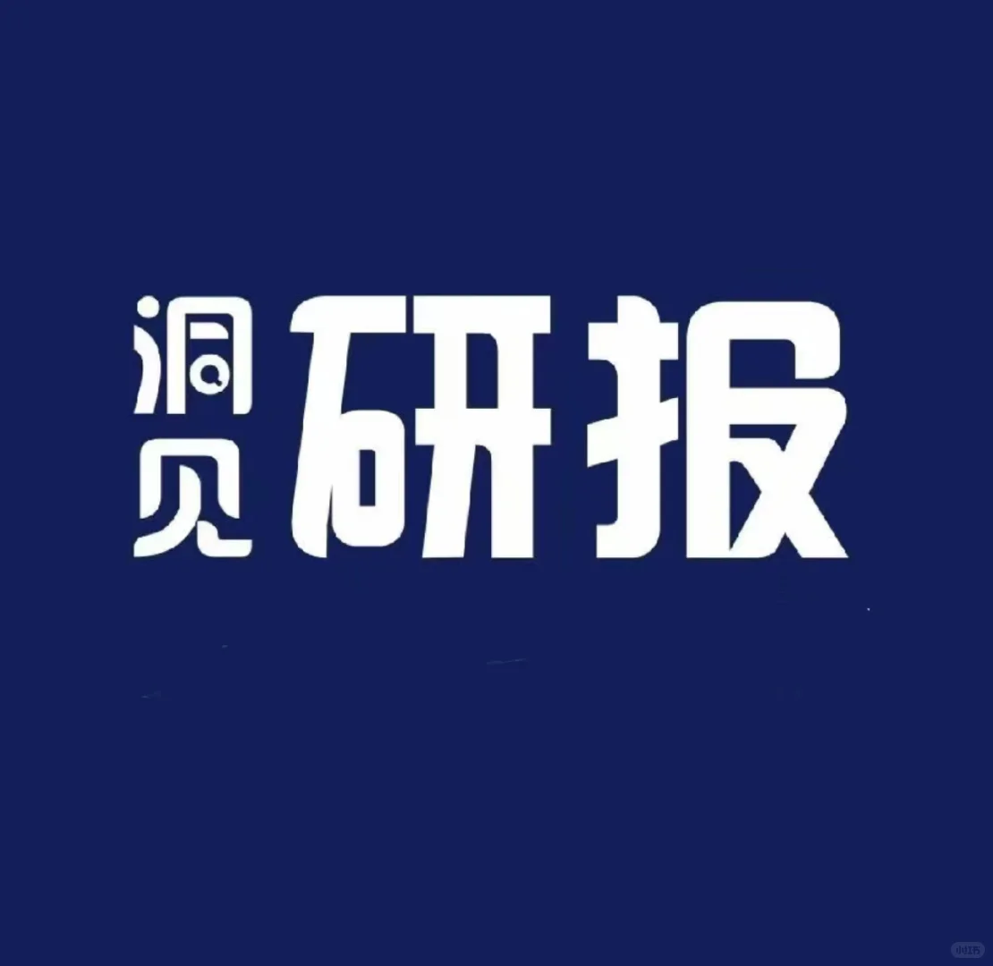 洞见研报共创会员回雪，单人单日不下线