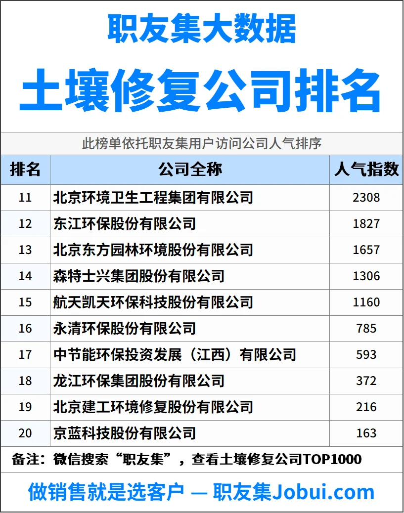 2025年中国土壤修复公司排行榜