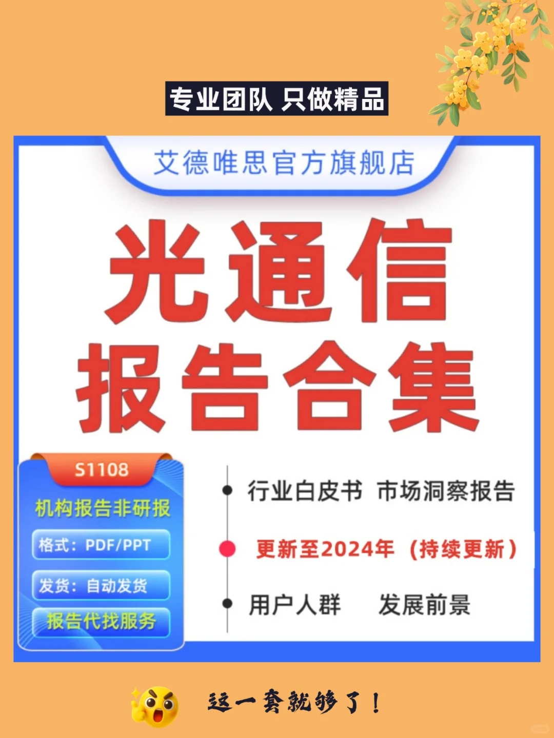 2025光通信行业研究报告