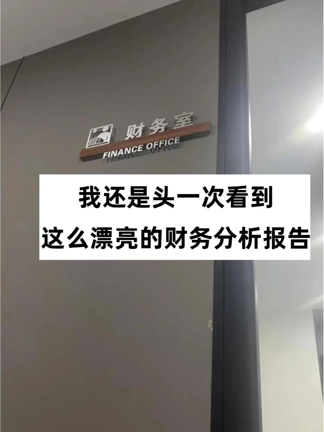头一次见到这么漂亮的财务数据分析报告