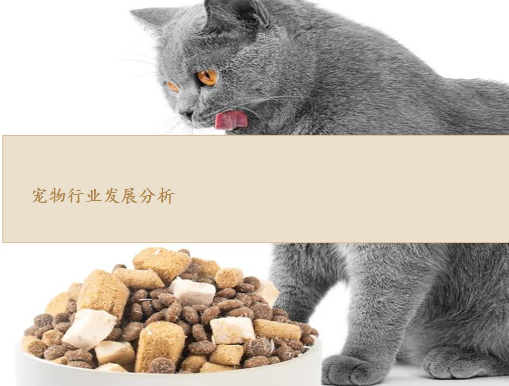 研报分析（宠物篇）——宠物行业分析