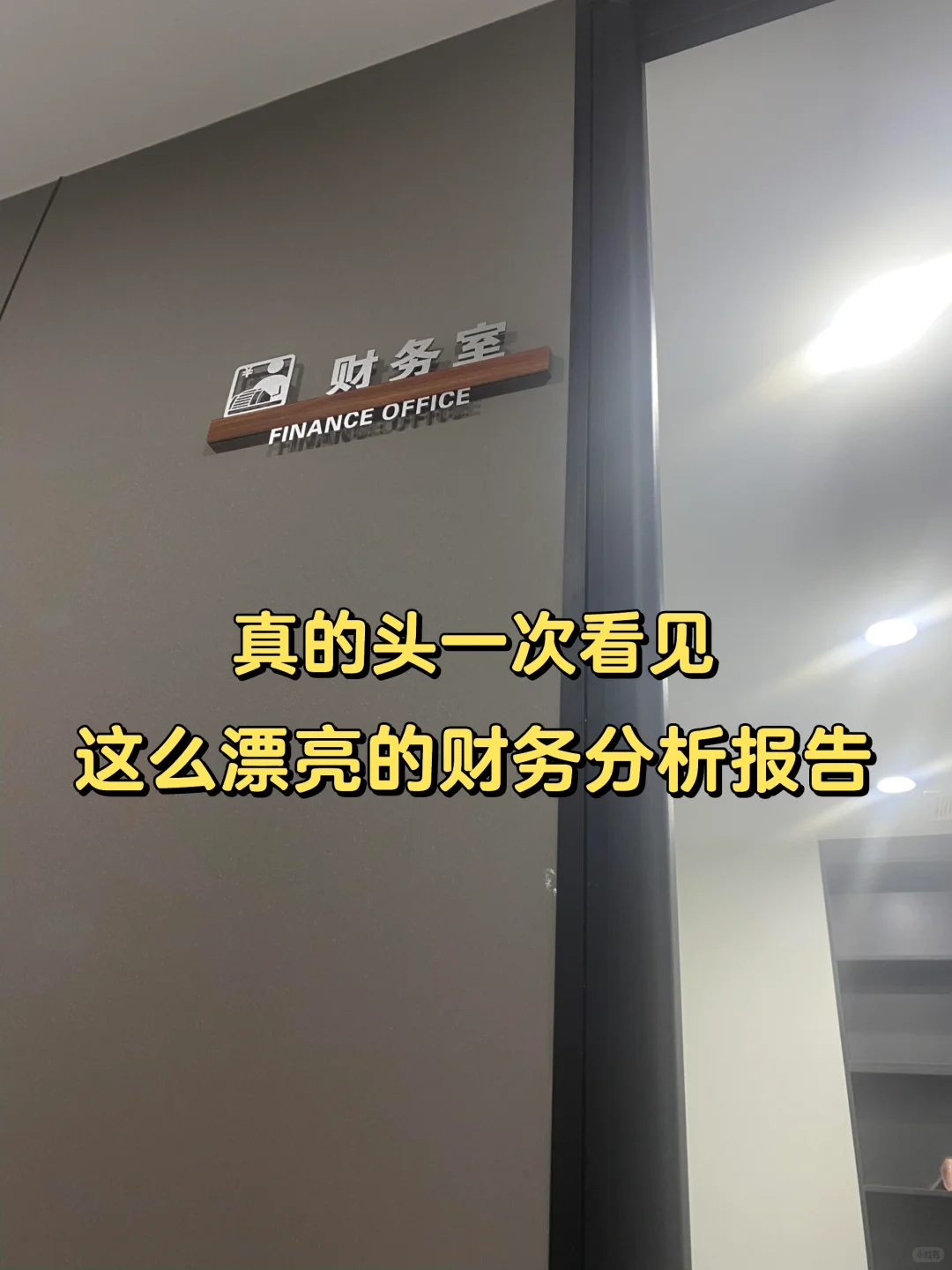真的头一次看到这么漂亮的财务分析报告‼️