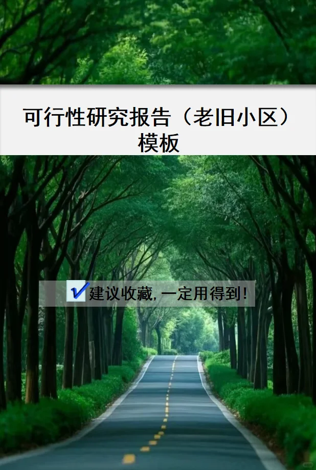 可行性研究报告模板