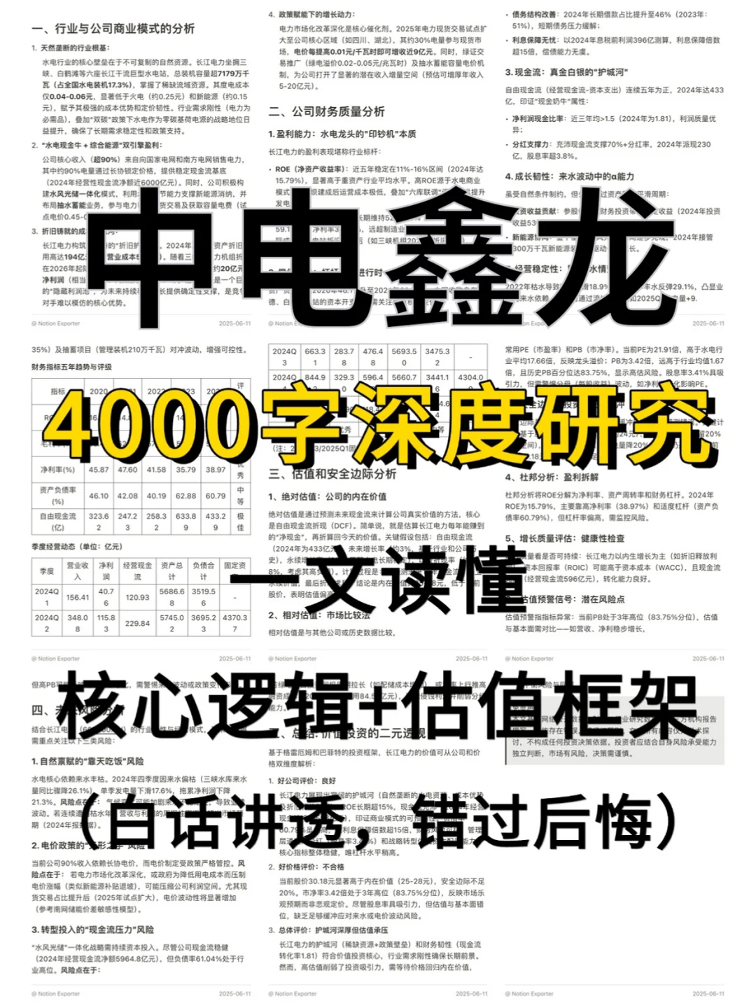 中电鑫龙 4000 字深度研报