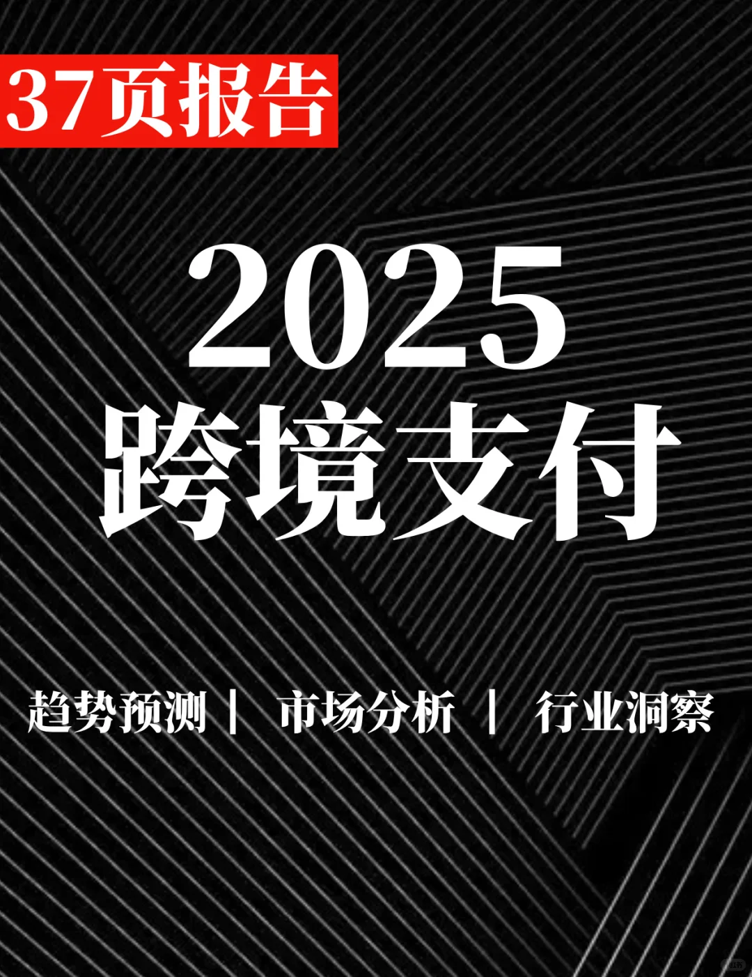 37页报告|2025全球跨境支付服务行业洞察