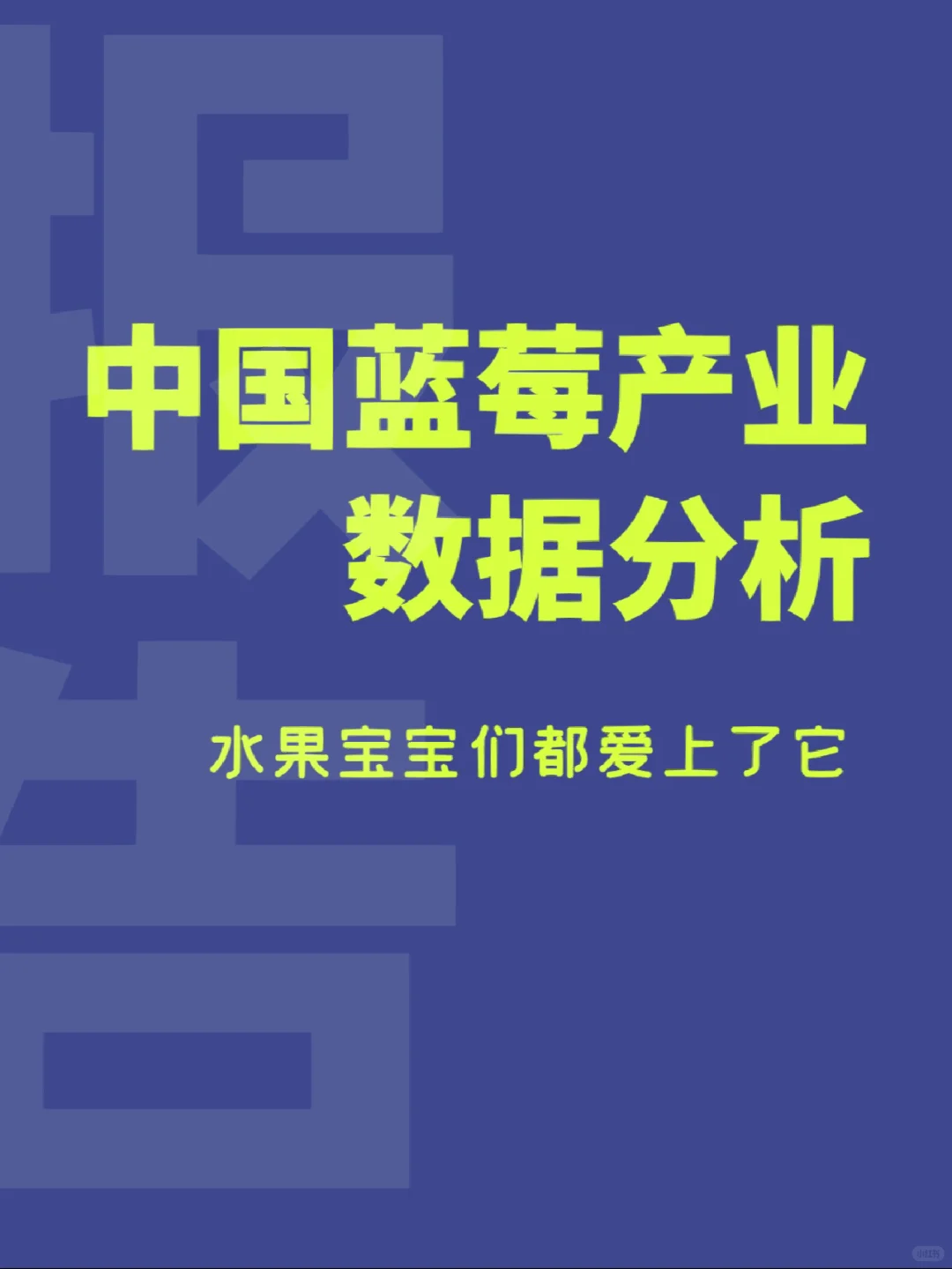2022中国蓝莓产业数据分析报告🫐真香
