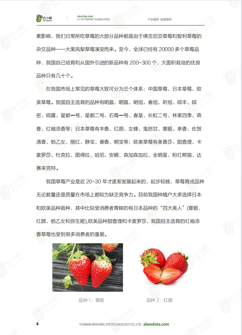 数据分析报告之农业报告
