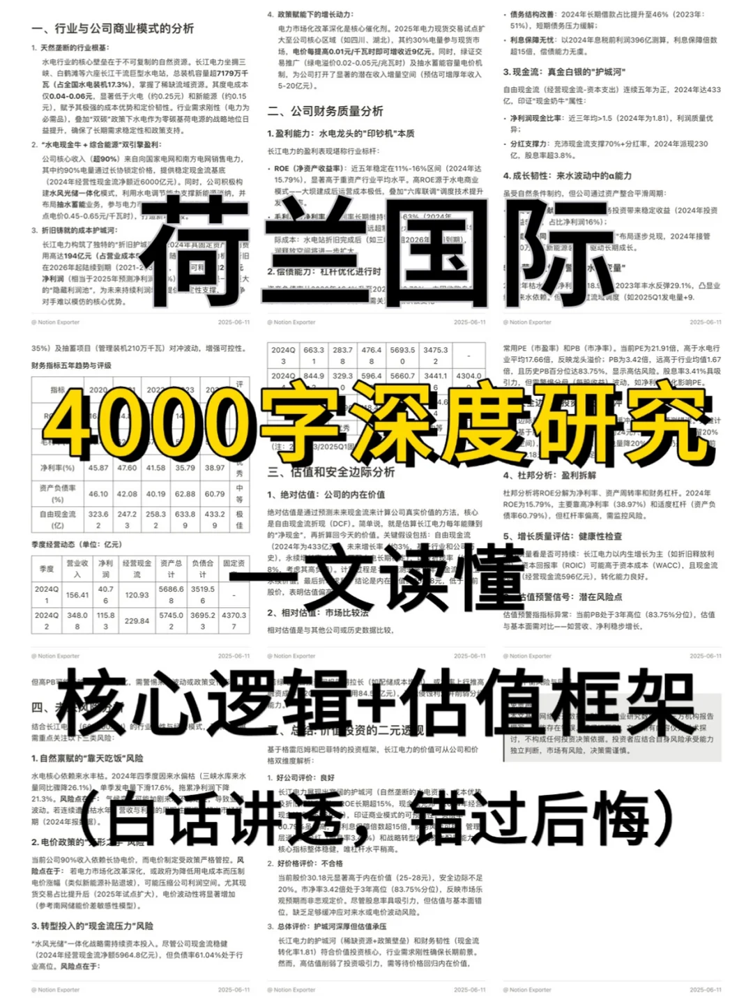 荷兰国际 4000 字深度研报