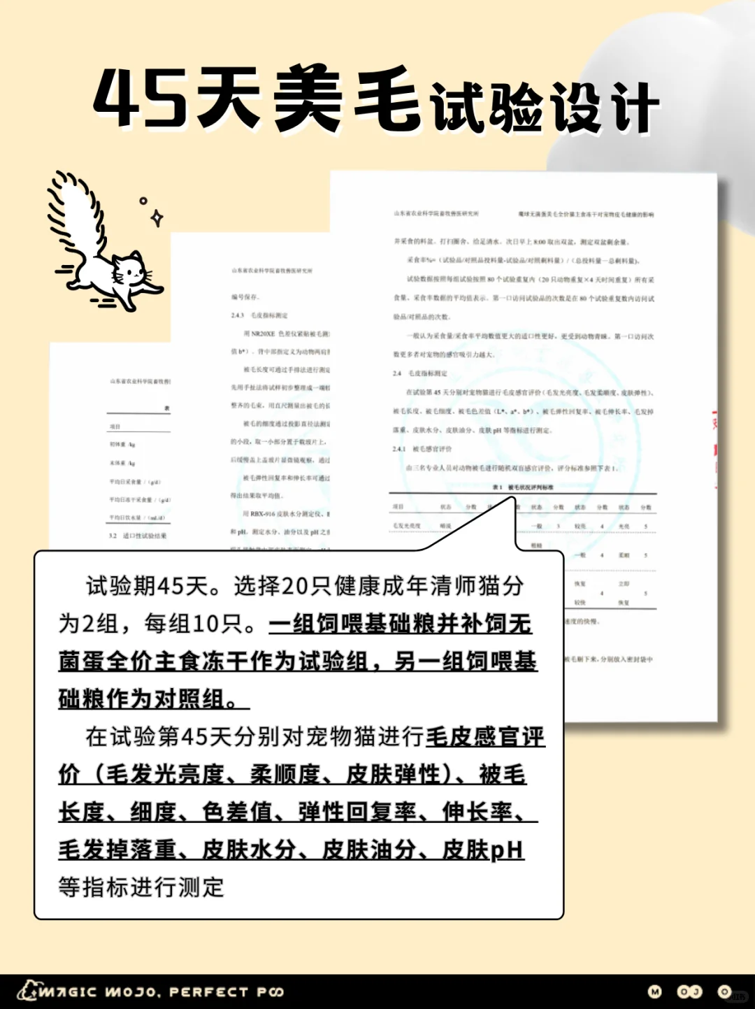 报告»45天爆改炸毛小猫📑 山东农科院实证 ✅