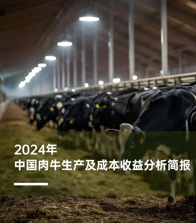 5份合集|2021-2024最新中国肉牛行业研报