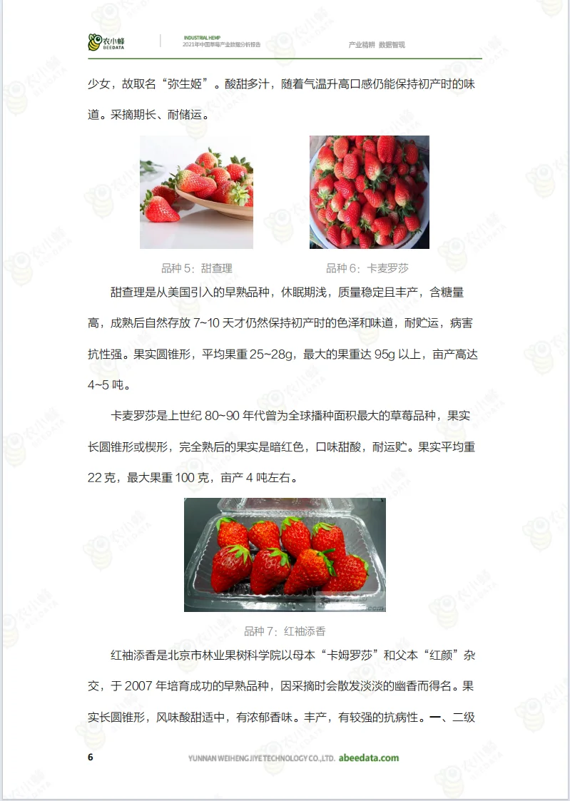 数据分析报告之农业报告