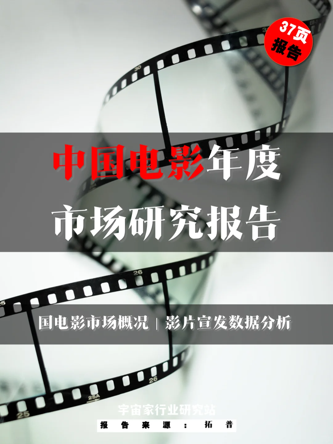 行业报告 ｜中国电影年度市场研究报告