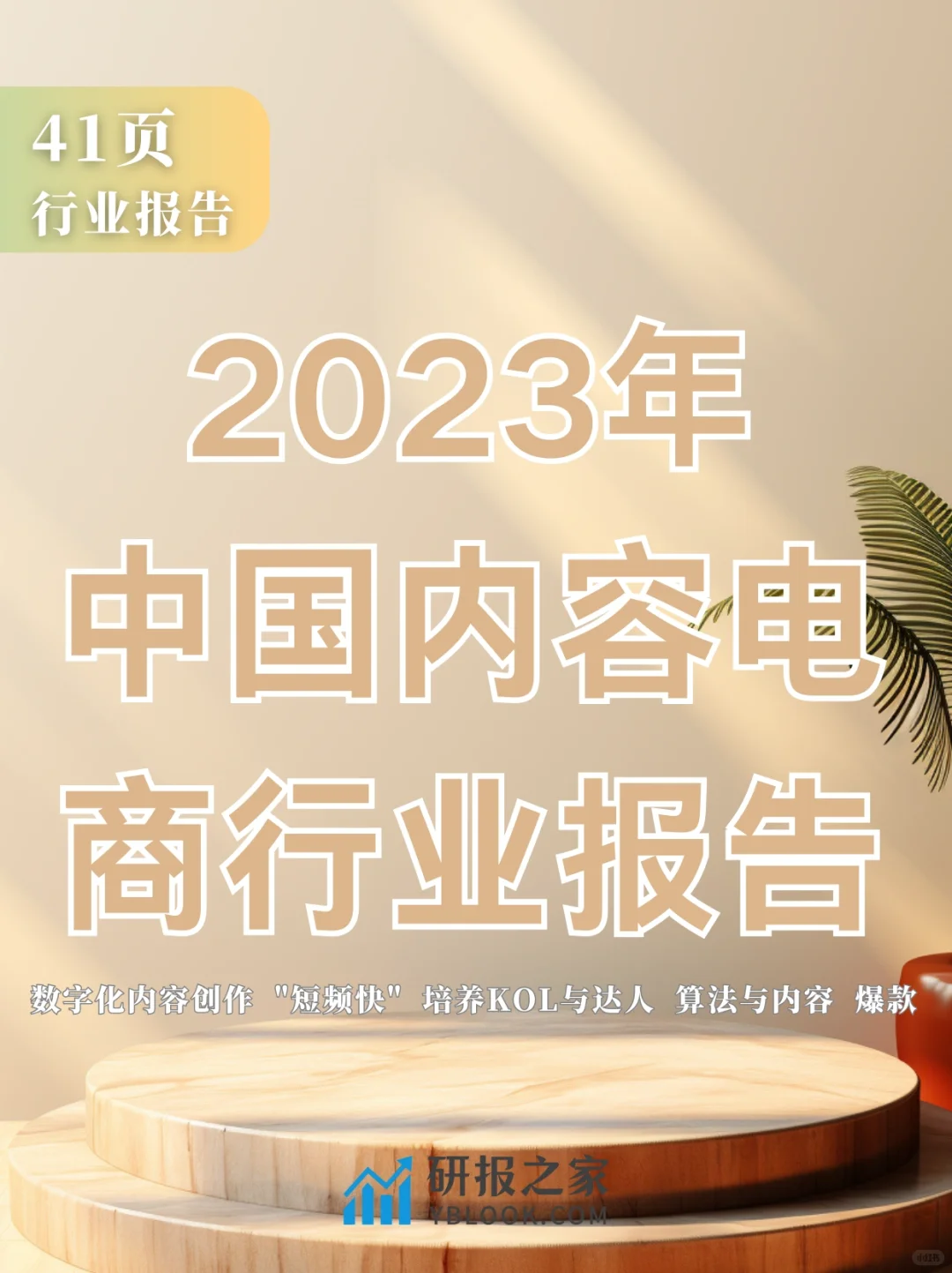 单篇研报分享|2023年中国内容电商行业报告