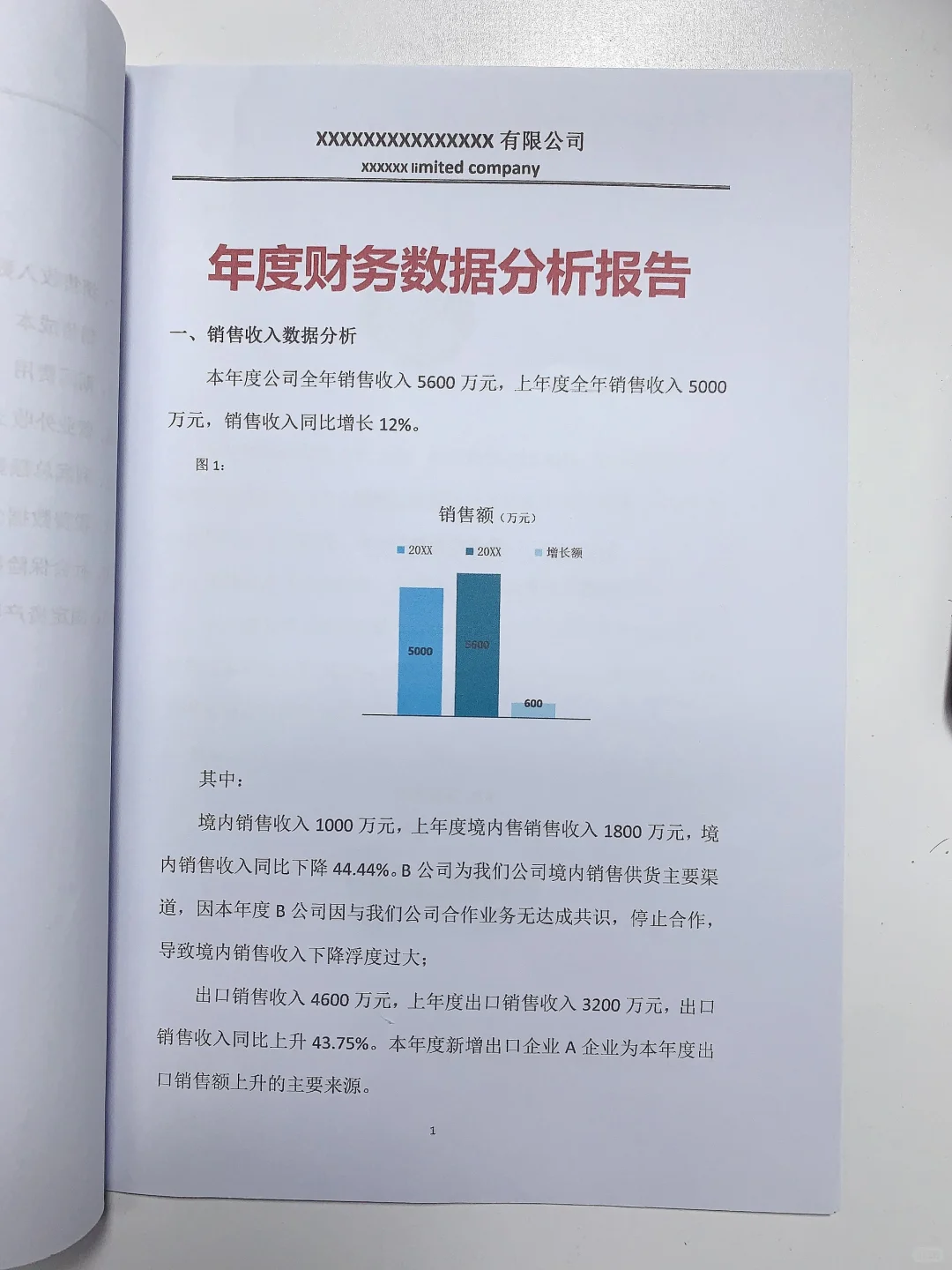 2023年度财务数据分析报告✅
