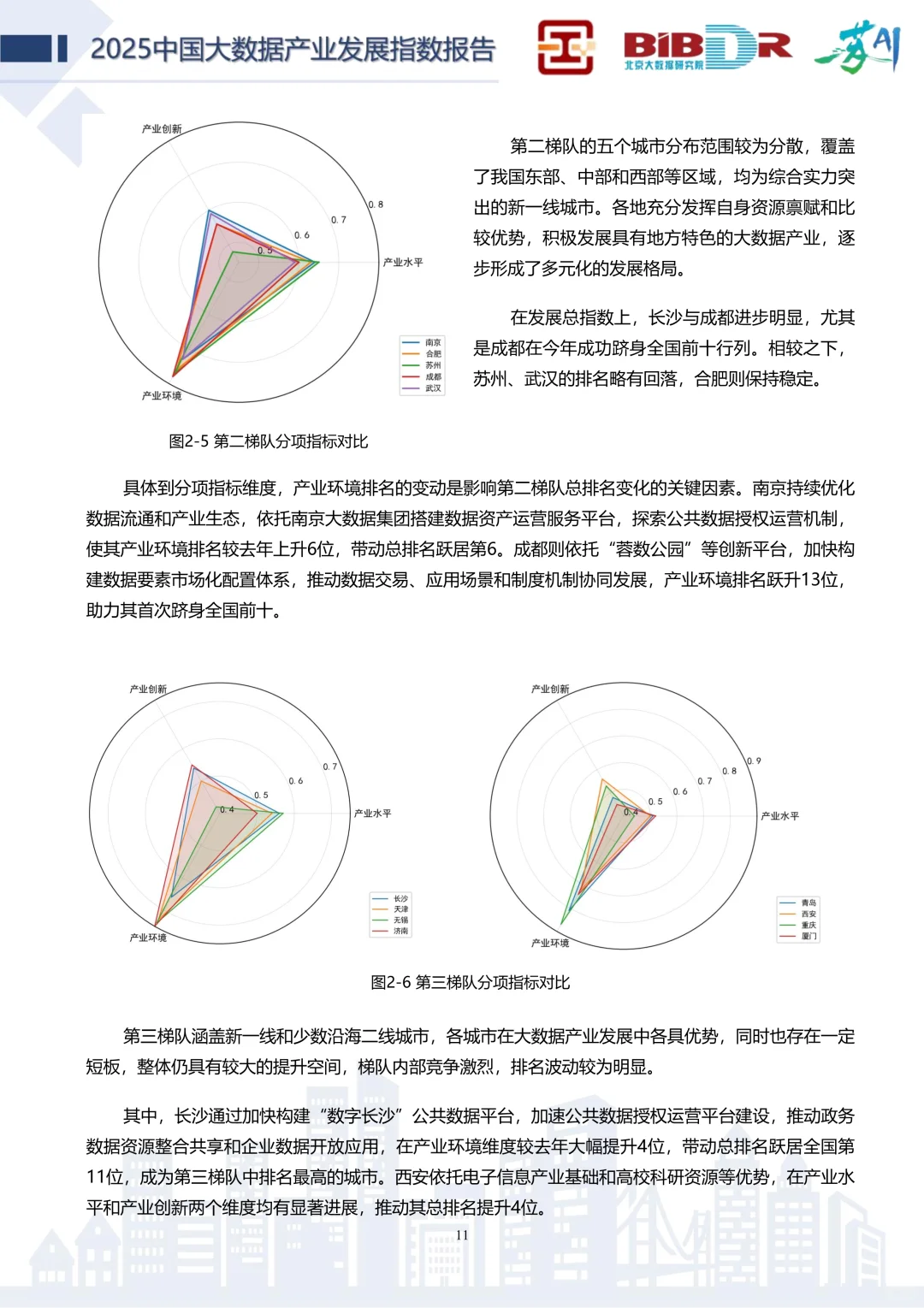 🧱✨解读2025中国大数据产业发展指数报告