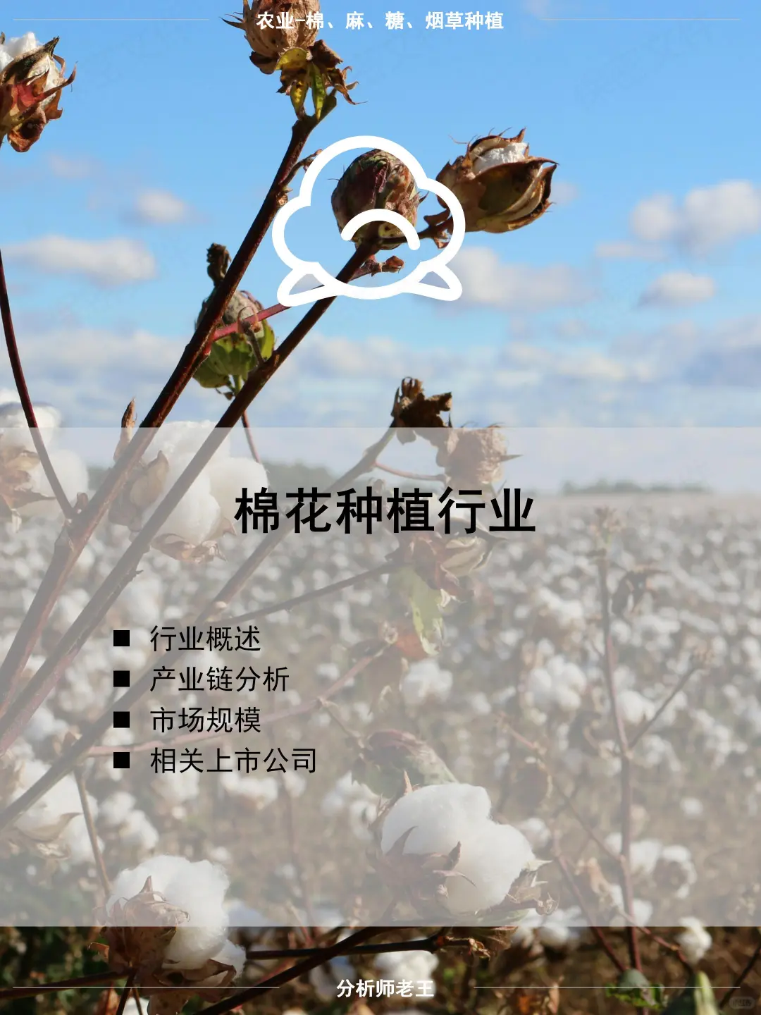农业投资必看 - 棉花种植行研