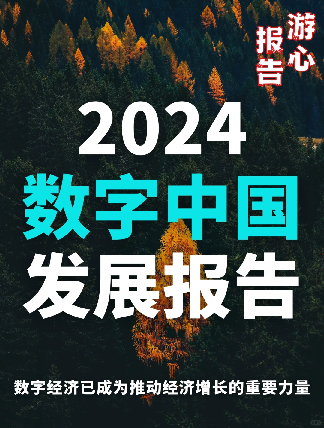 重磅报告| 2024数字中国发展报告