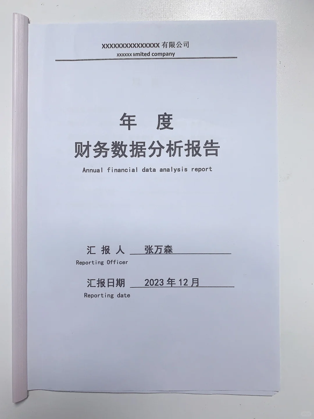 2023年度财务数据分析报告✅