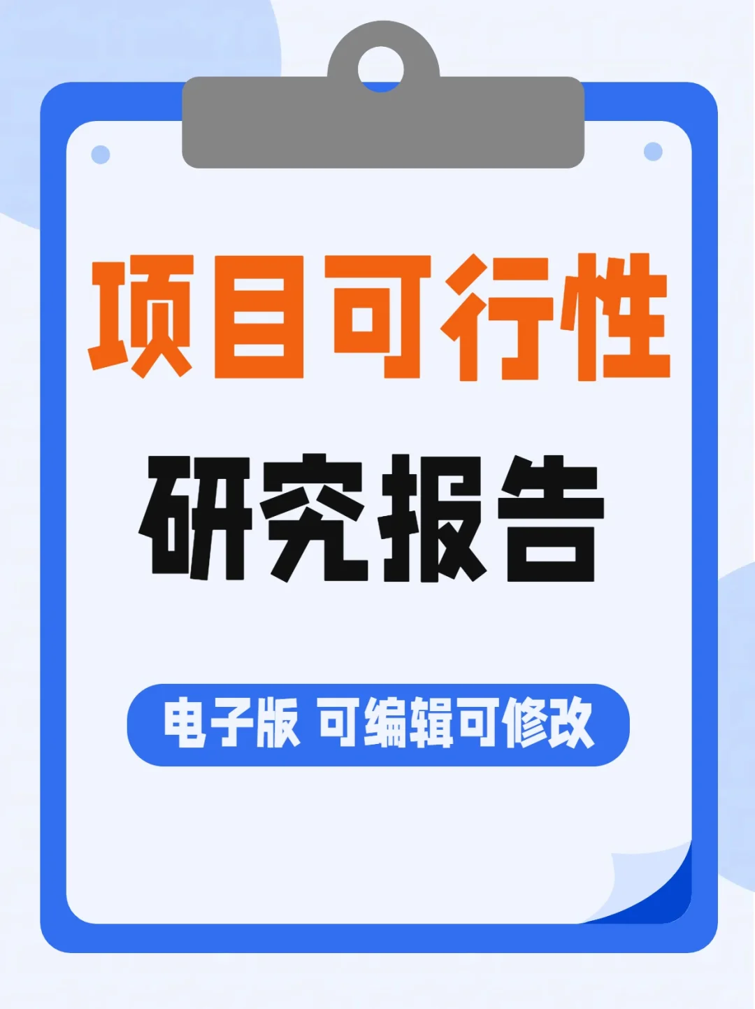 项目可行性研究报告