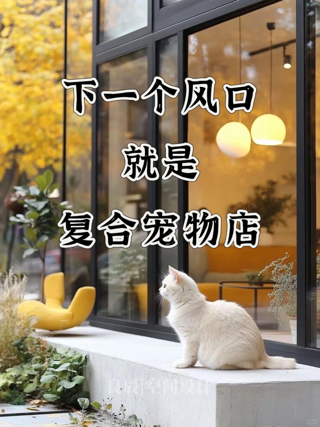 2025年宠物行业新趋势：复合型门店如何破局？