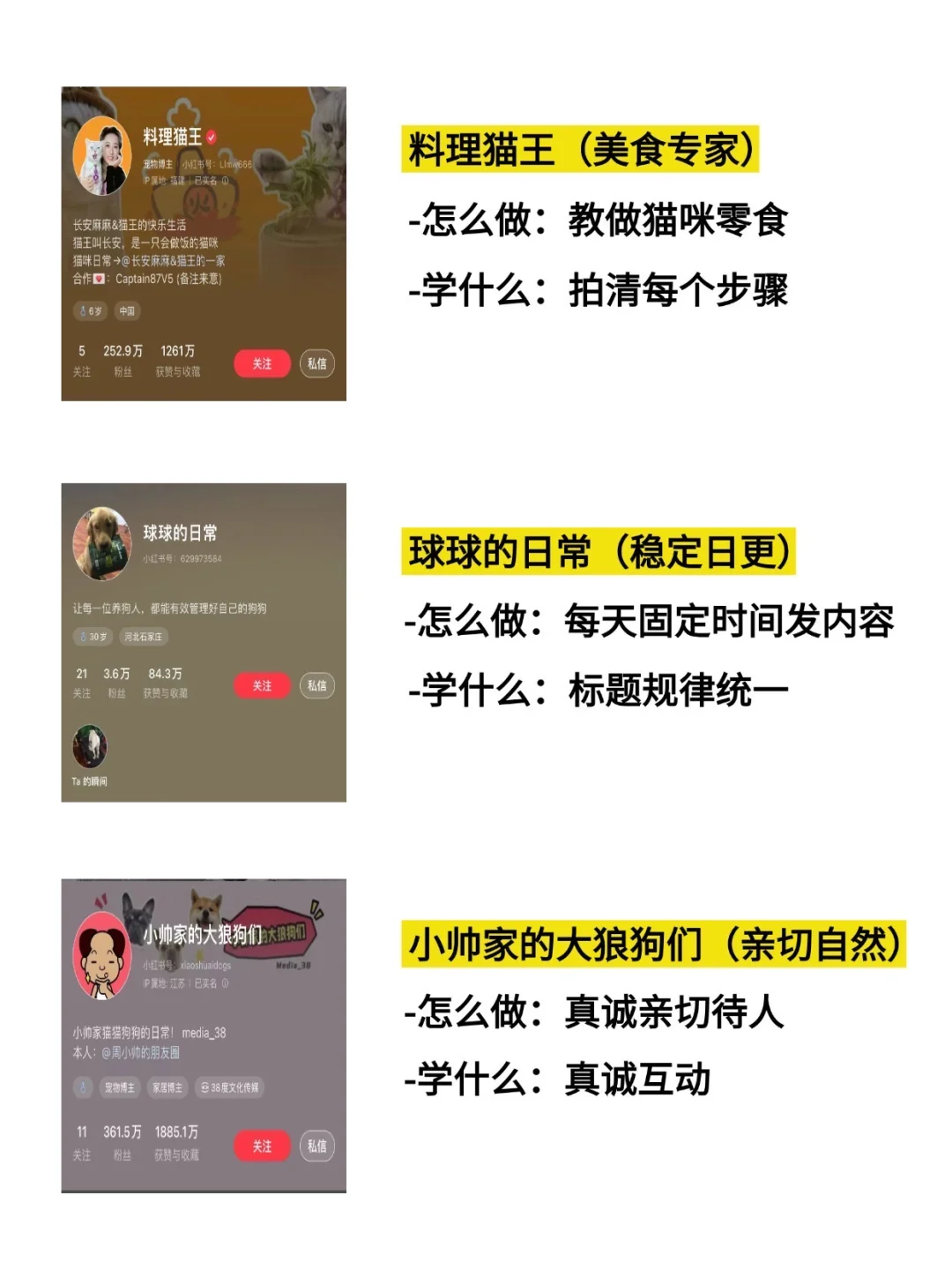 新手宠物博主学习他们就够了
