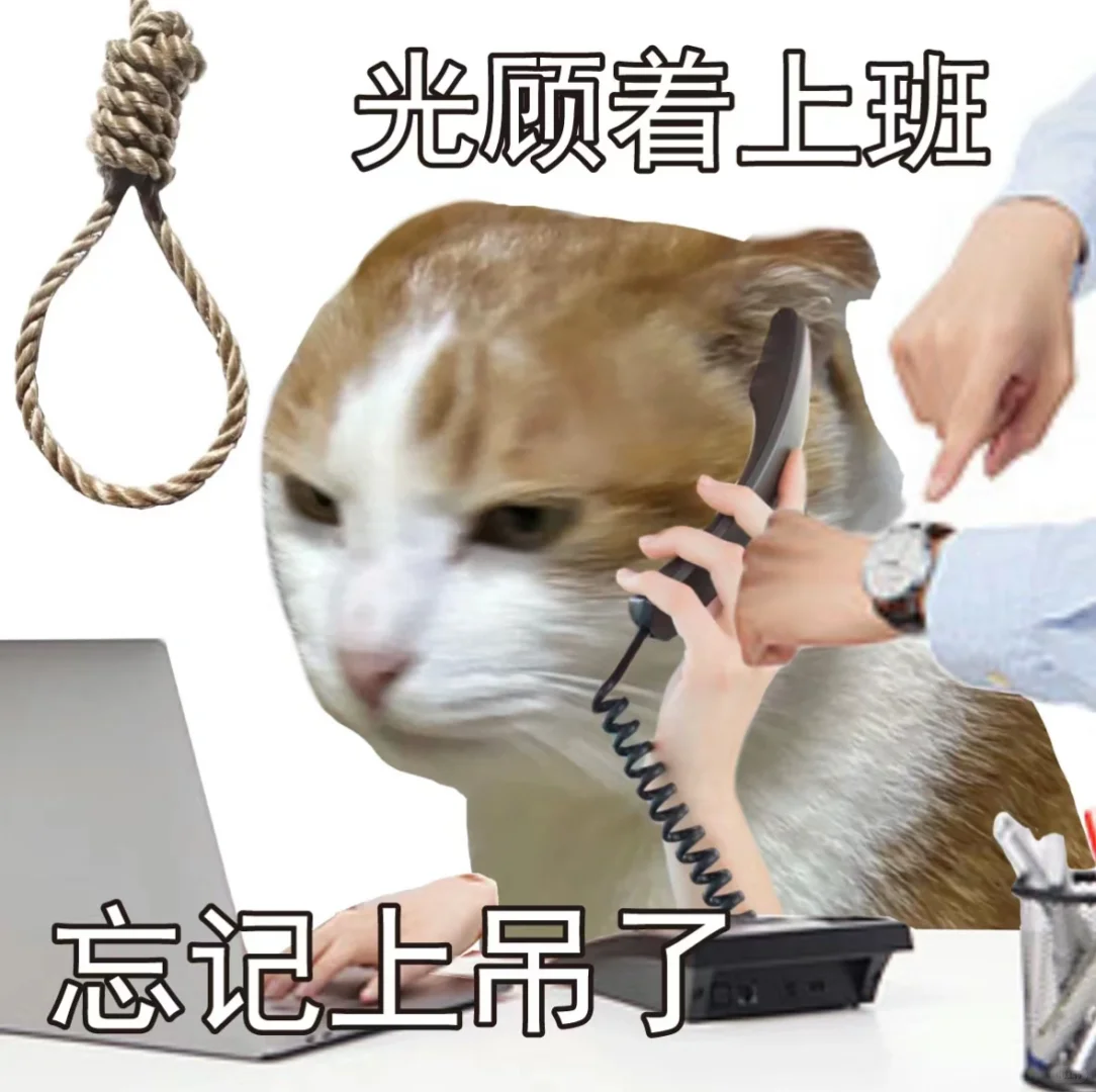 行研实习：干一行恨一行