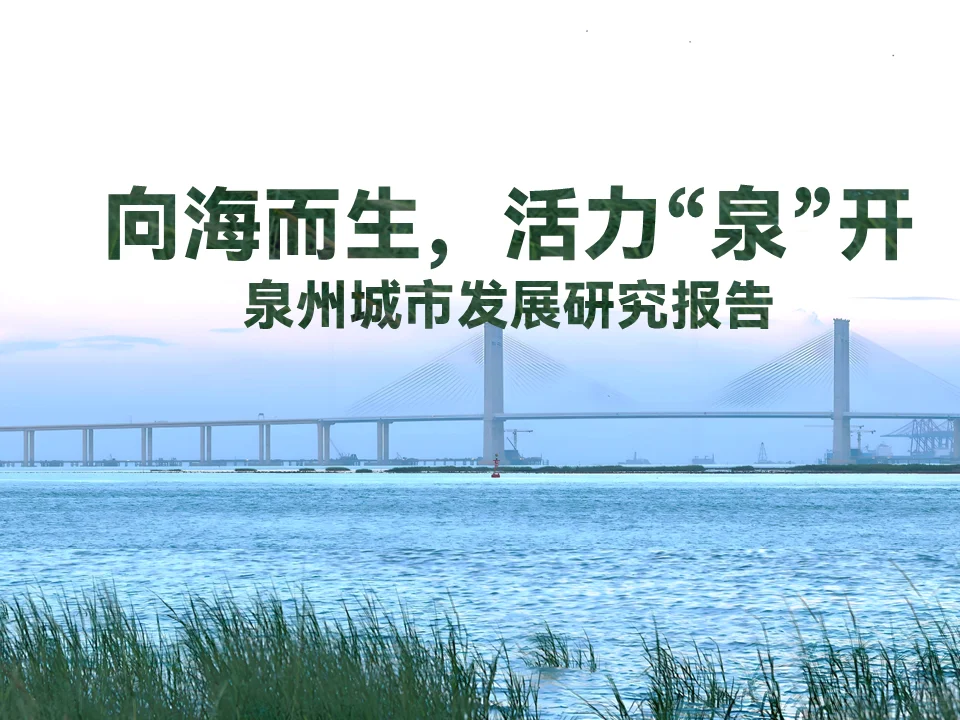 行业研究报告代写 | 泉州城市发展报告