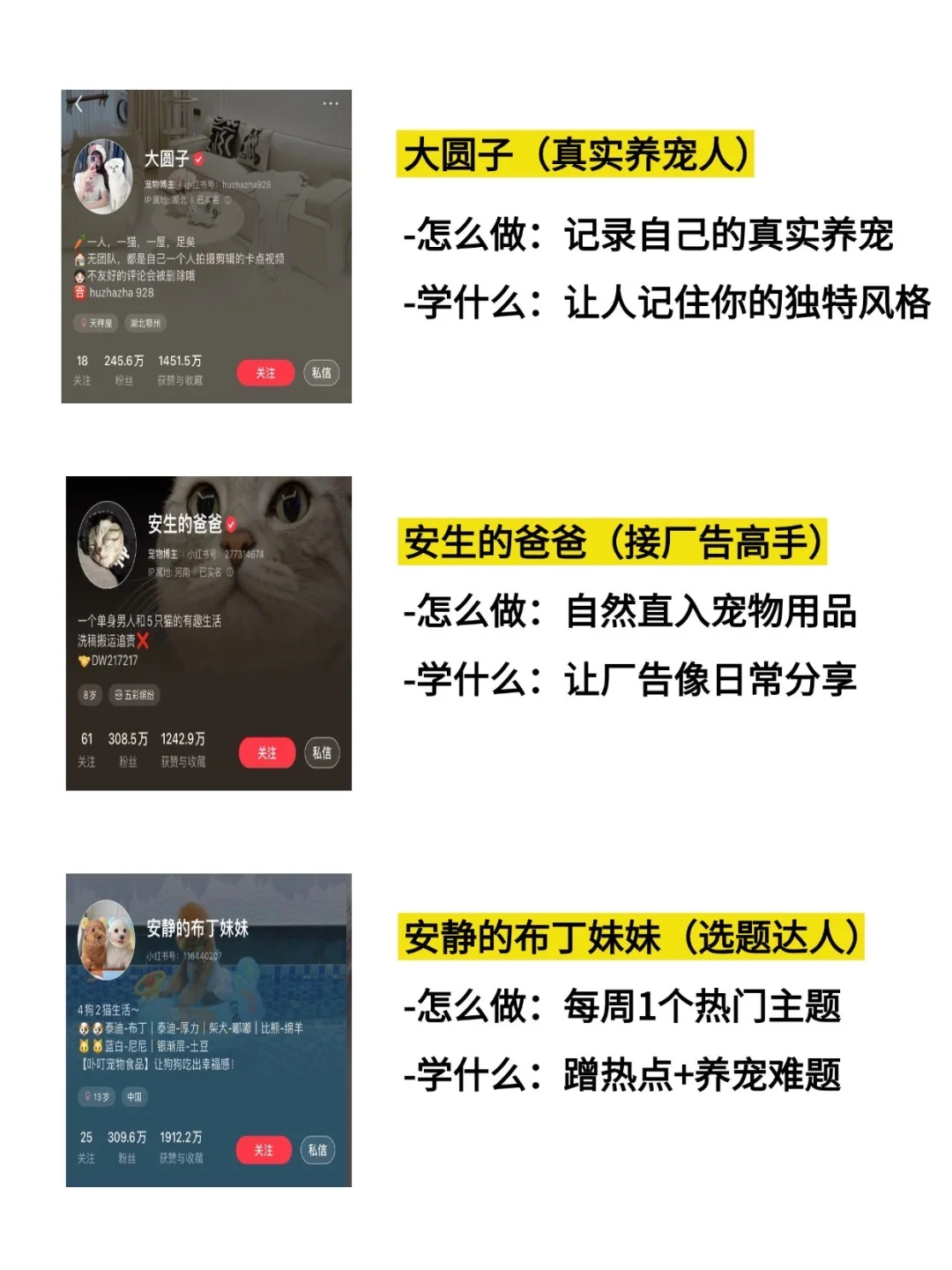 新手宠物博主学习他们就够了